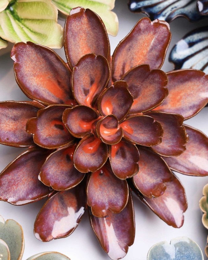 JA19 Peach Mocha Cornflower - Chive UK Wholesale