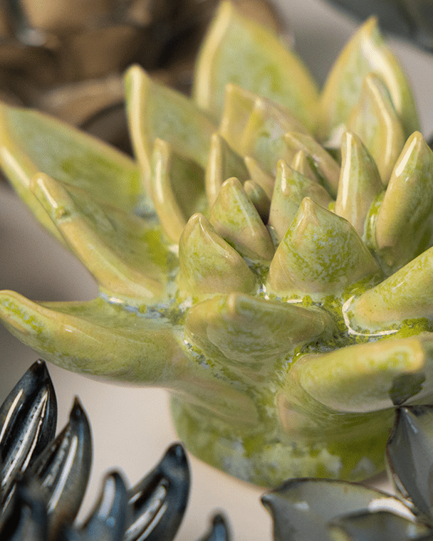 JA20 Pea Green Ghost Succulent - Chive UK Wholesale