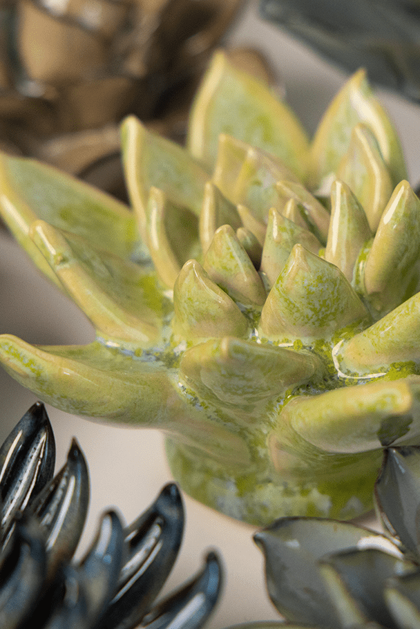 JA20 Pea Green Ghost Succulent - Chive UK Wholesale