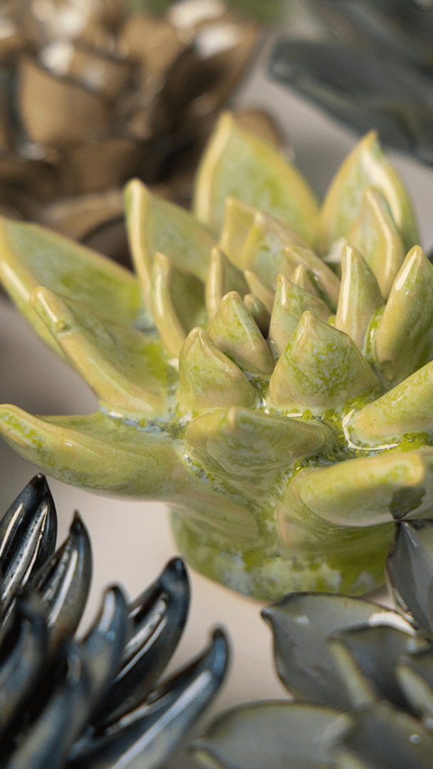 JA20 Pea Green Ghost Succulent - Chive UK Wholesale