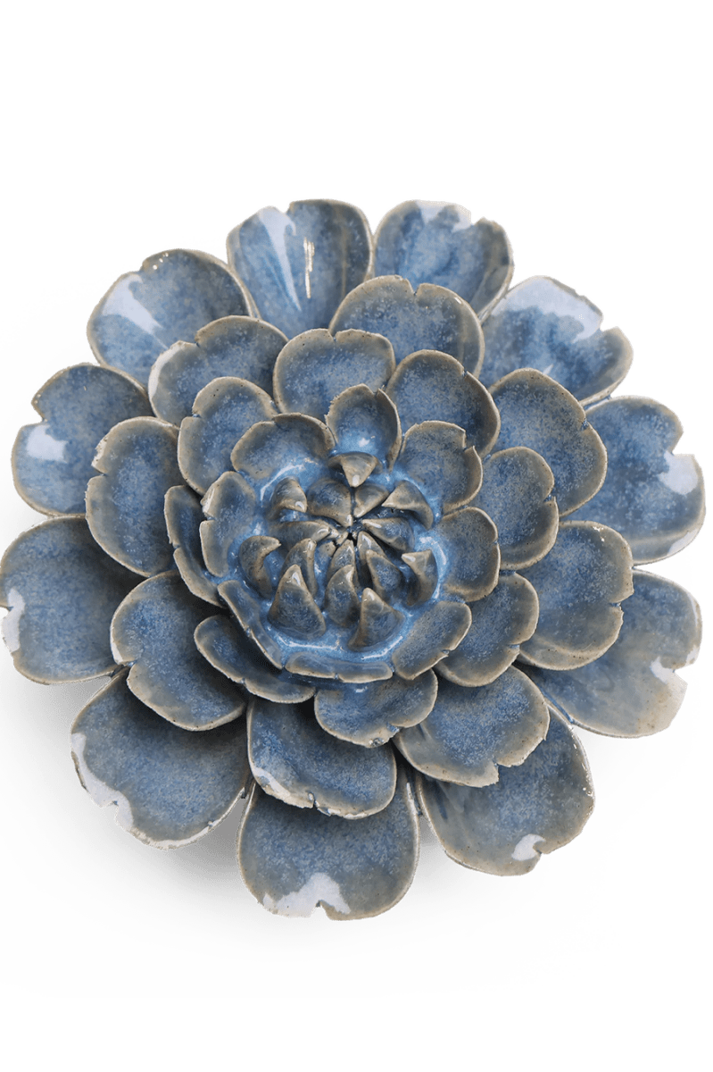 JA21 Fancy Blue Fiesta Marigold - Chive UK Wholesale