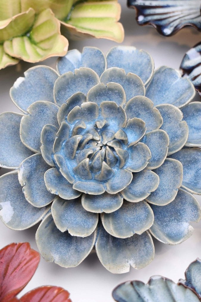 JA21 Fancy Blue Fiesta Marigold - Chive UK Wholesale