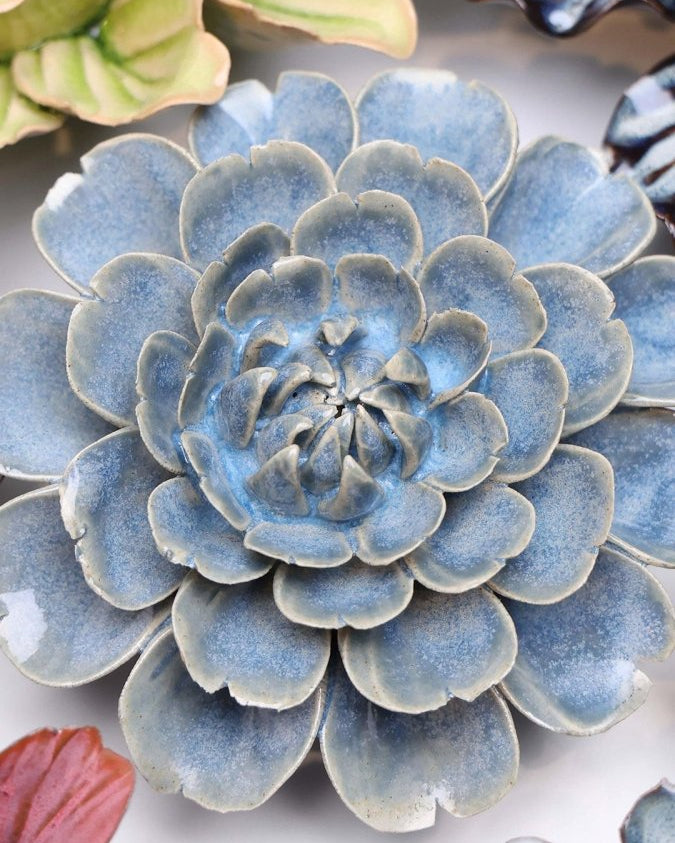 JA21 Fancy Blue Fiesta Marigold - Chive UK Wholesale