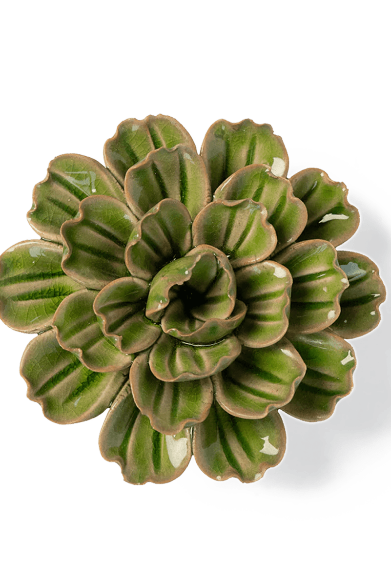 JA24 Avocado Green Petunia - Chive UK Wholesale