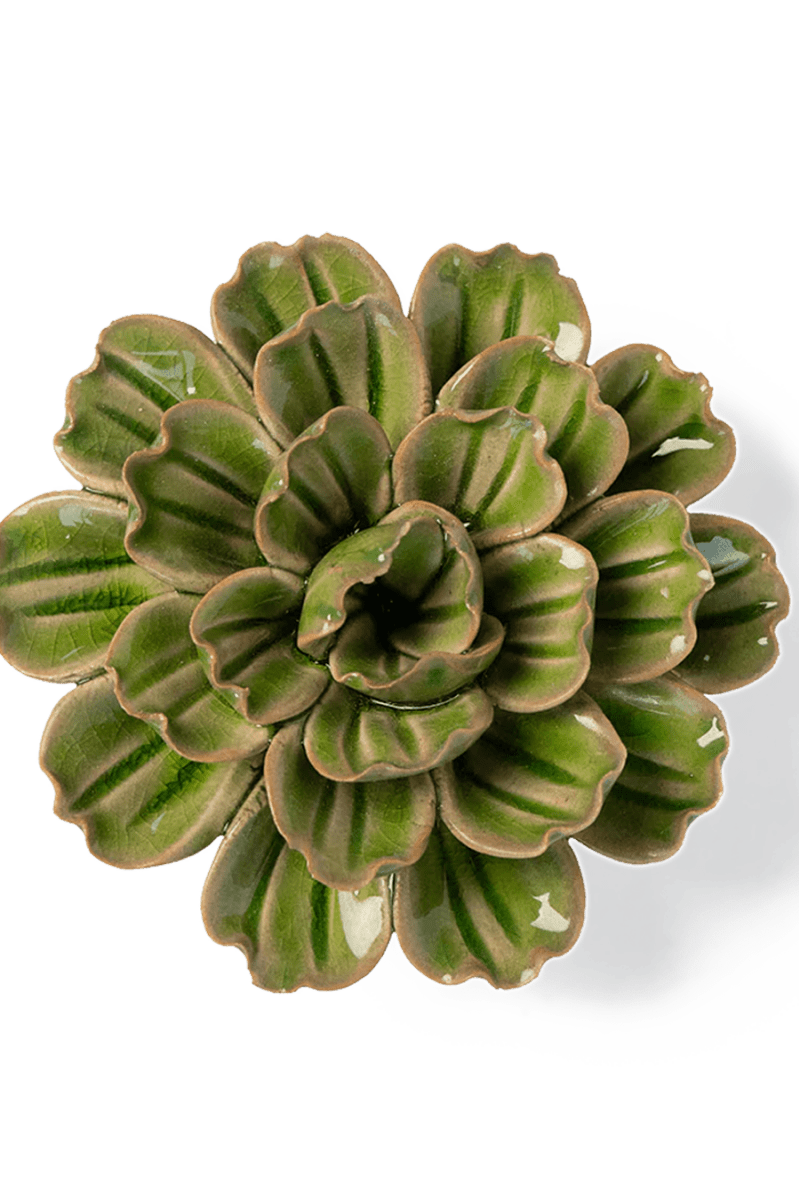JA24 Avocado Green Petunia - Chive UK Wholesale