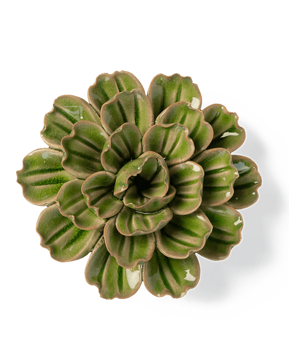 JA24 Avocado Green Petunia - Chive UK Wholesale