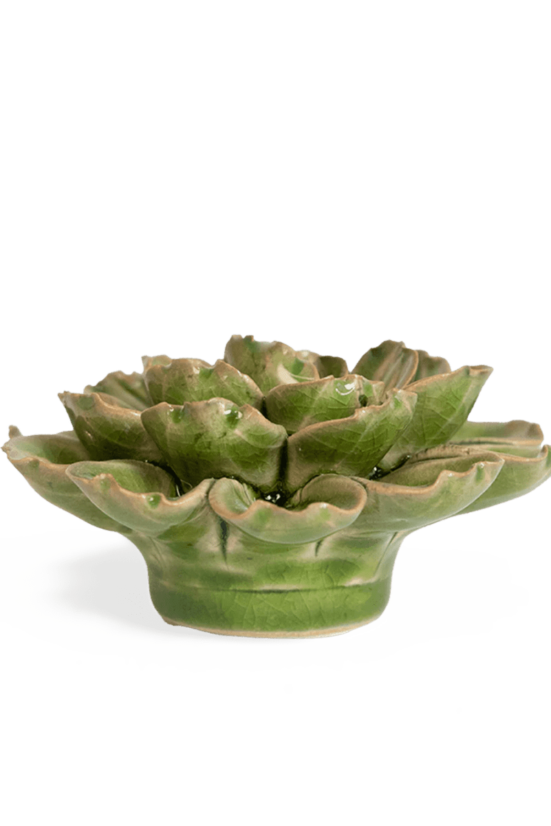 JA24 Avocado Green Petunia - Chive UK Wholesale