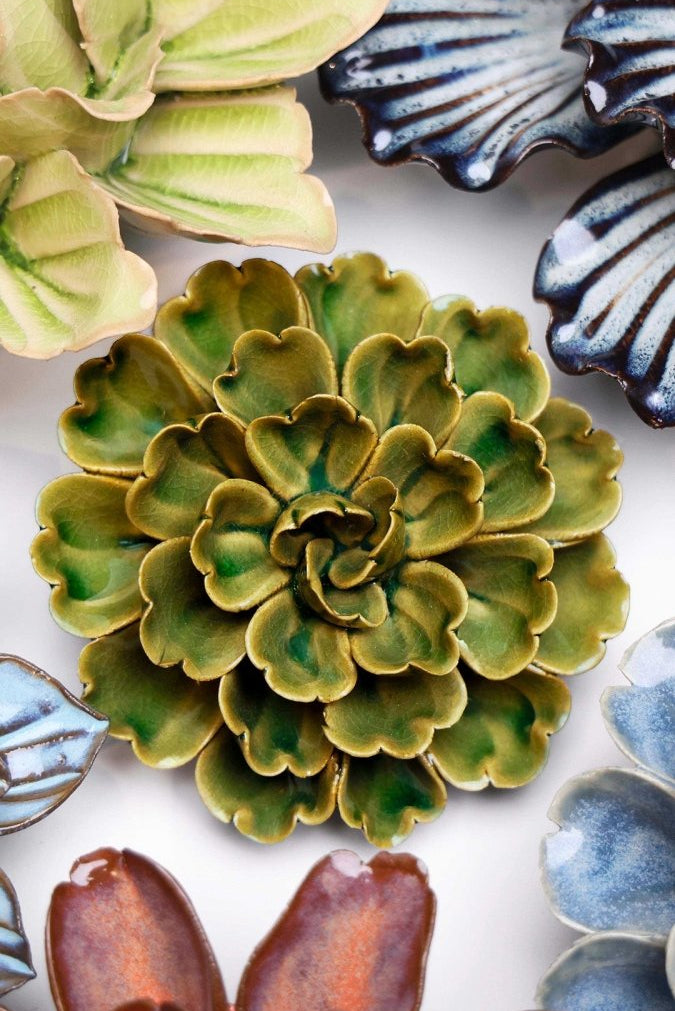 JA24 Avocado Green Petunia - Chive UK Wholesale