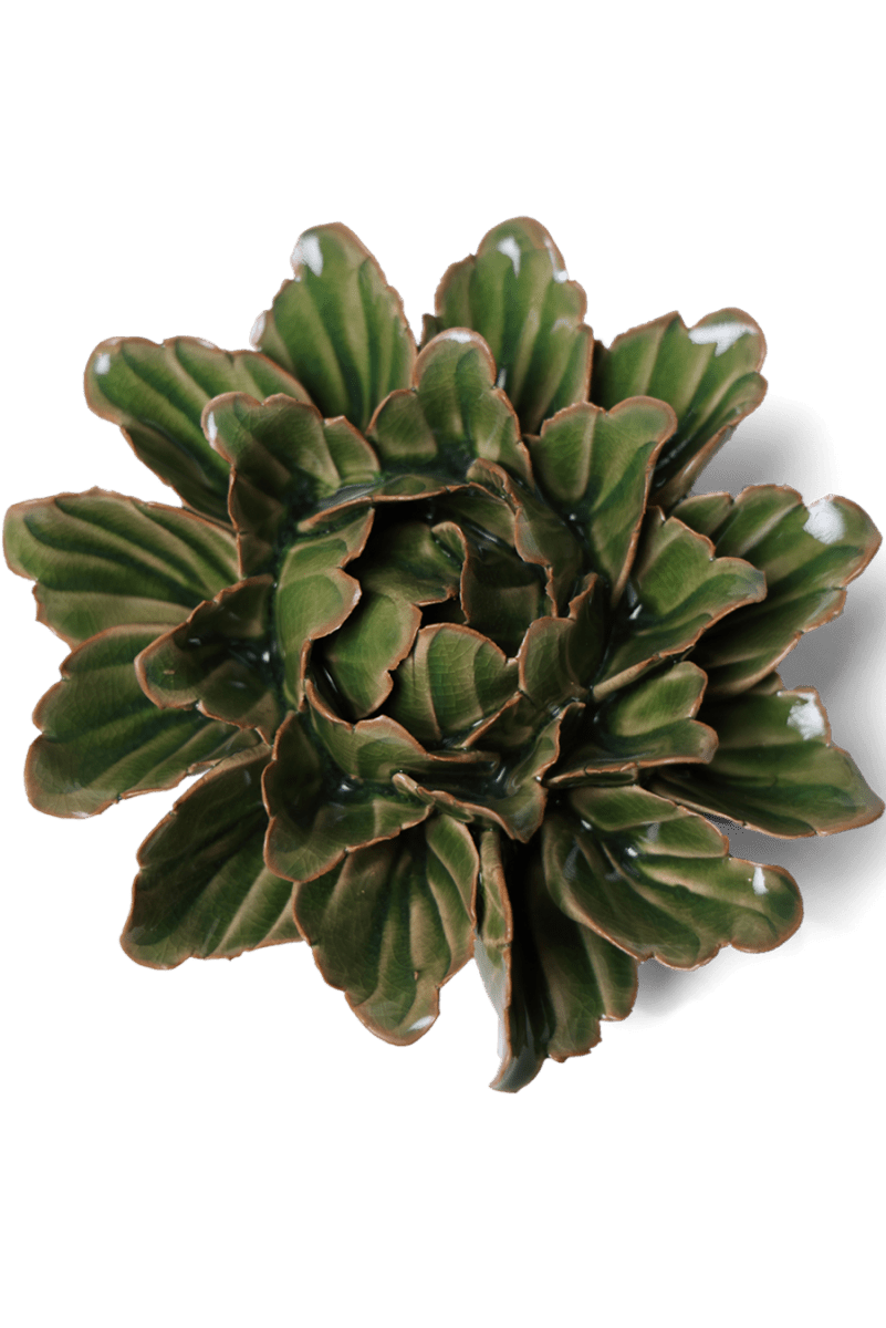 JA26 Avocado Green Sorbet Peony - Chive UK Wholesale