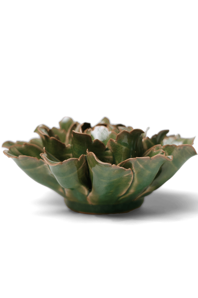 JA26 Avocado Green Sorbet Peony - Chive UK Wholesale