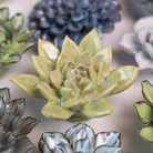 Ceramic Flower Japan Curated Collection #13 - Chive UK Wholesale