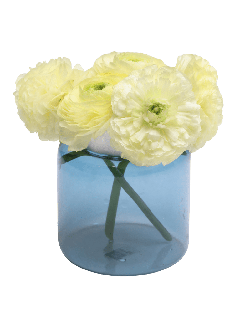 Jar Glass Modern Flower Vase - Chive UK Wholesale