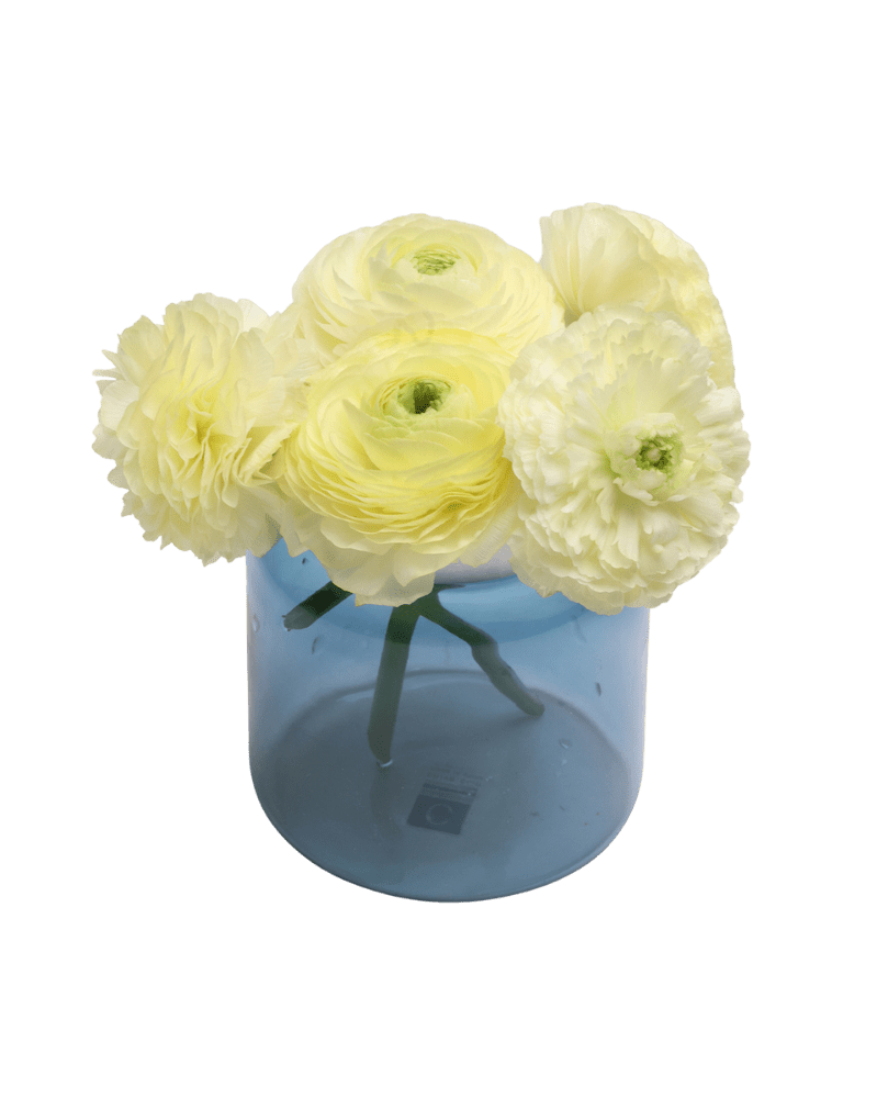 Jar Glass Modern Flower Vase - Chive UK Wholesale