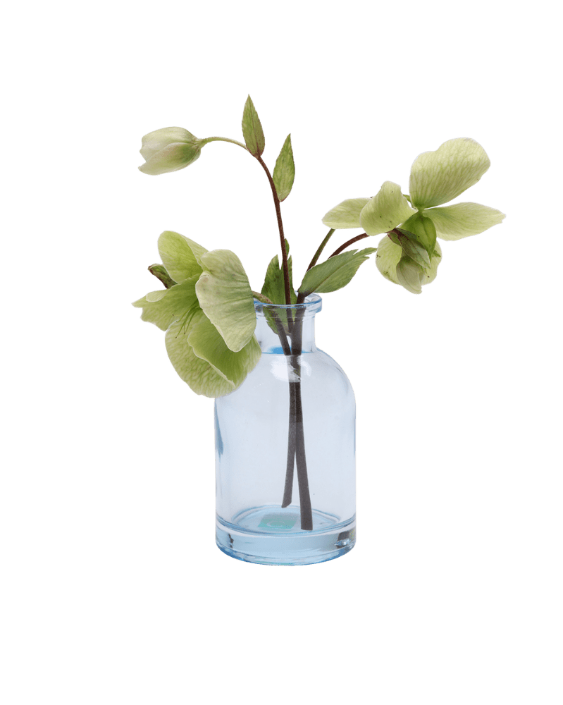 Loft Glass Vintage Bud Vases For Weddings - Chive UK Wholesale