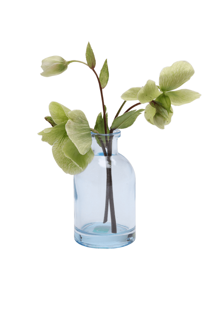 Loft Glass Vintage Bud Vases For Weddings - Chive UK Wholesale