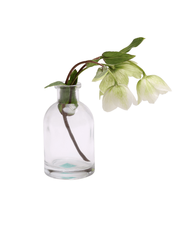 Loft Glass Vintage Bud Vases For Weddings - Chive UK Wholesale