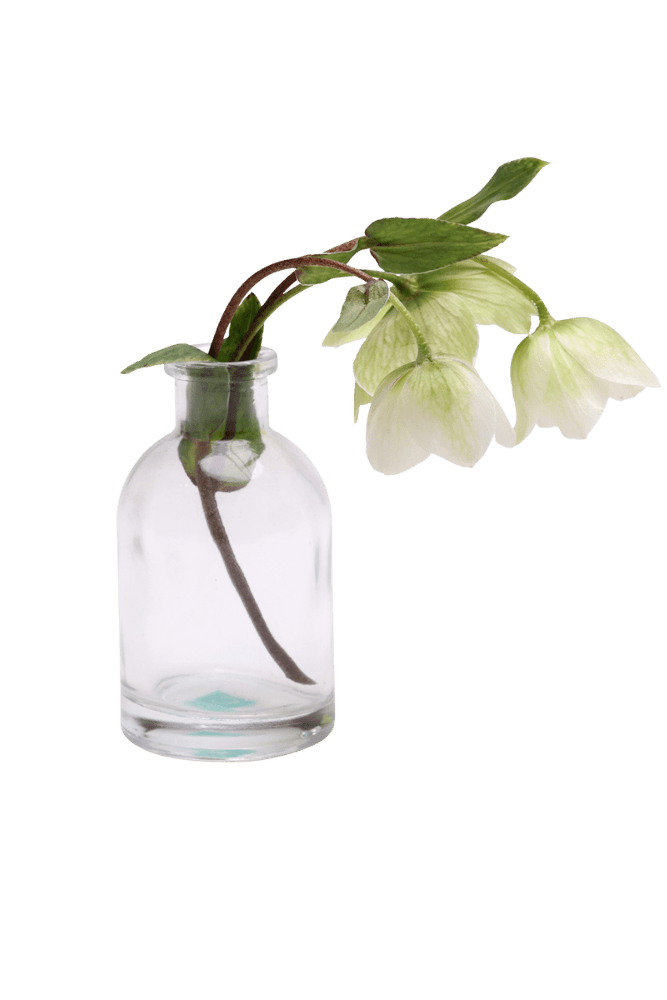 Loft Glass Vintage Bud Vases For Weddings - Chive UK Wholesale