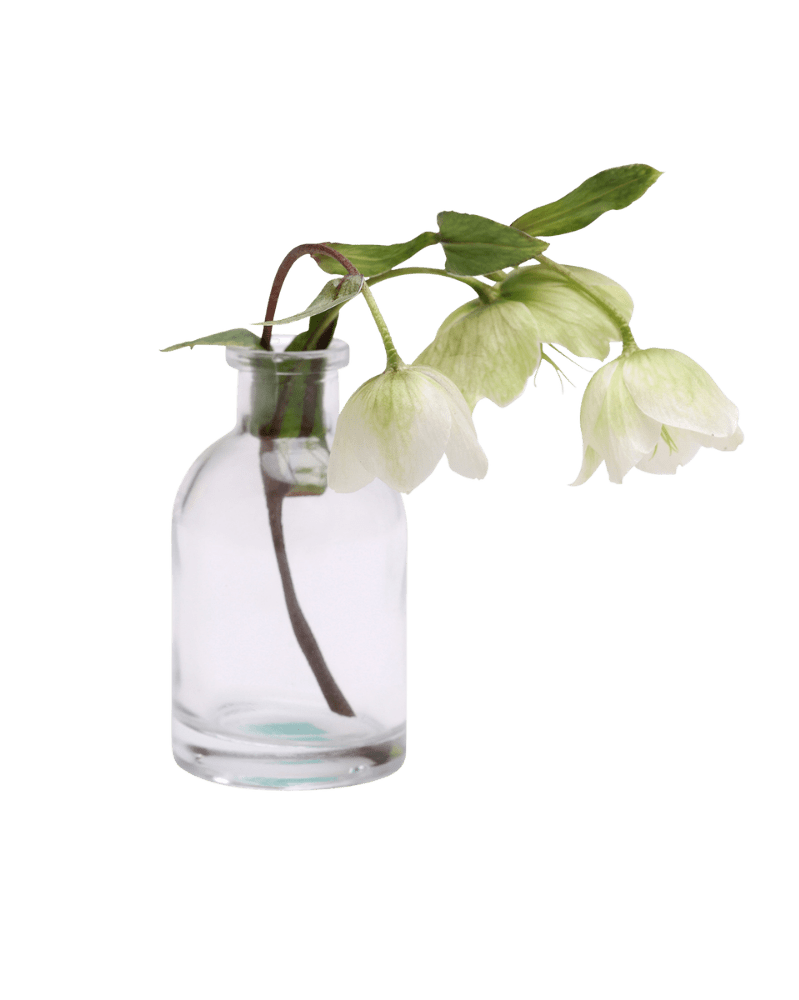 Loft Glass Vintage Bud Vases For Weddings - Chive UK Wholesale