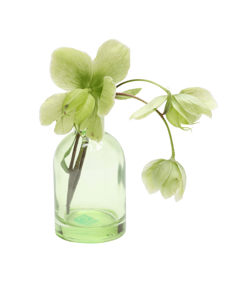 Loft Glass Vintage Bud Vases For Weddings - Chive UK Wholesale