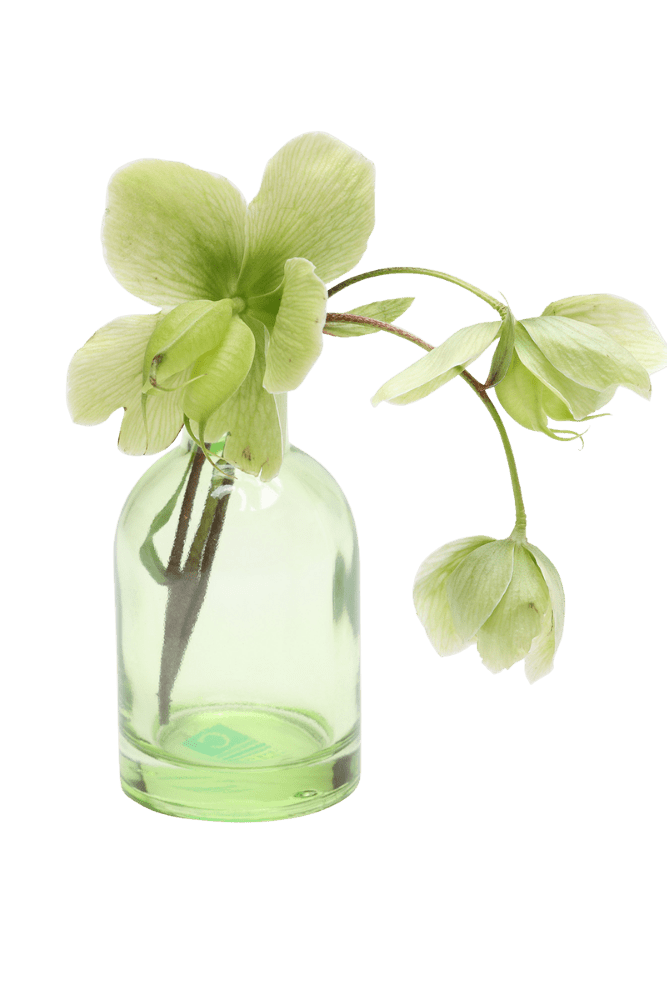 Loft Glass Vintage Bud Vases For Weddings - Chive UK Wholesale
