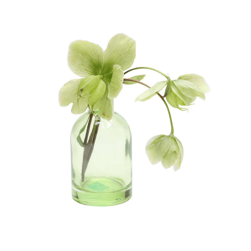 Loft Glass Vintage Bud Vases For Weddings - Chive UK Wholesale