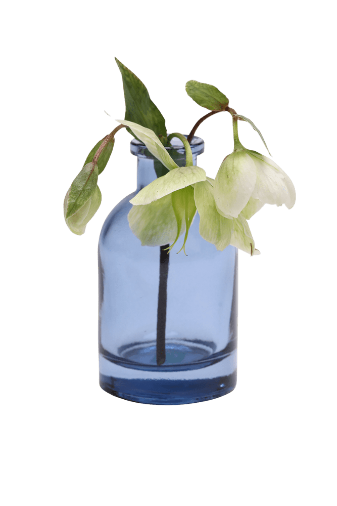 Loft Glass Vintage Bud Vases For Weddings - Chive UK Wholesale