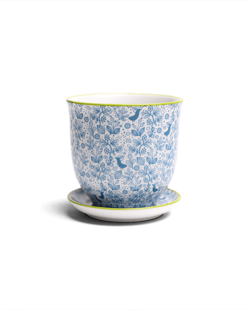 Liberte Porcelain Pot And Saucer Set With Drainage - Chive UK Wholesale