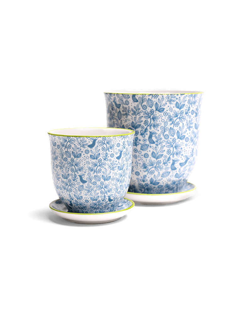 Liberte Porcelain Pot And Saucer Set With Drainage - Chive UK Wholesale