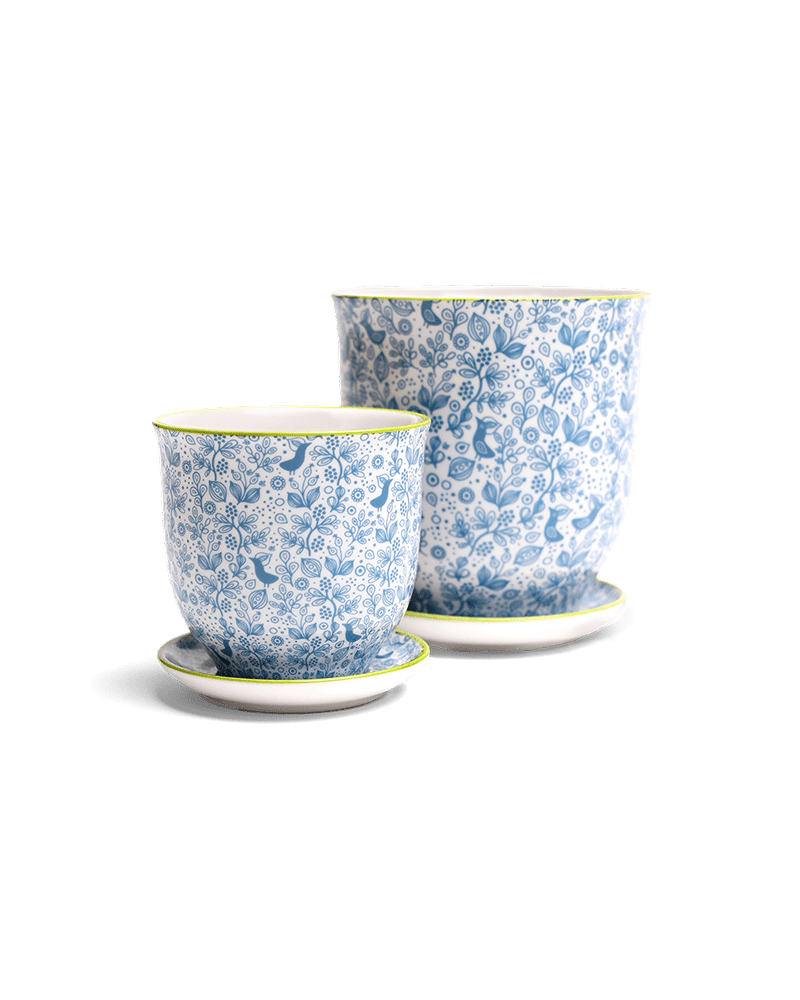 Liberte Porcelain Pot And Saucer Set With Drainage - Chive UK Wholesale
