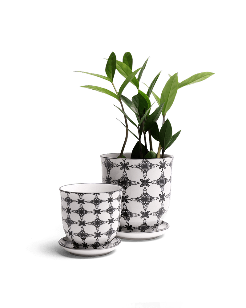 Liberte Porcelain Pot And Saucer Set With Drainage - Chive UK Wholesale