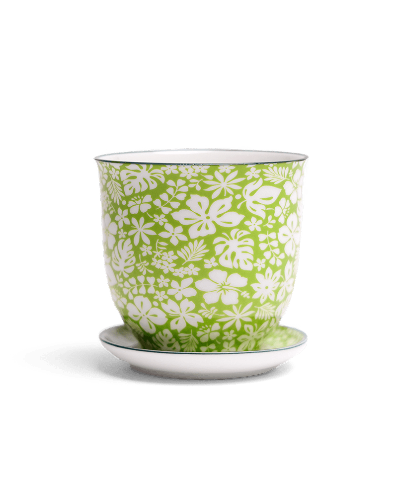 Liberte Porcelain Pot And Saucer Set With Drainage - Chive UK Wholesale