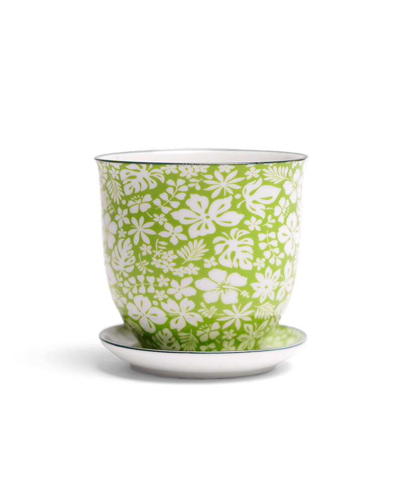 Liberte Porcelain Pot And Saucer Set With Drainage - Chive UK Wholesale
