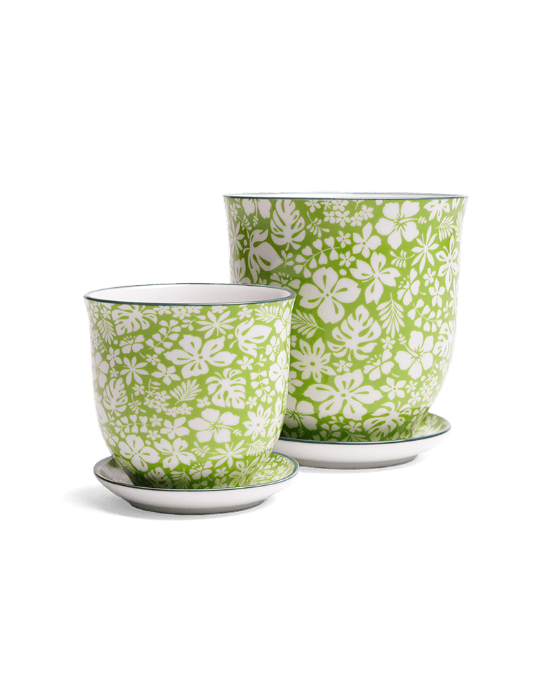 Liberte Porcelain Pot And Saucer Set With Drainage - Chive UK Wholesale