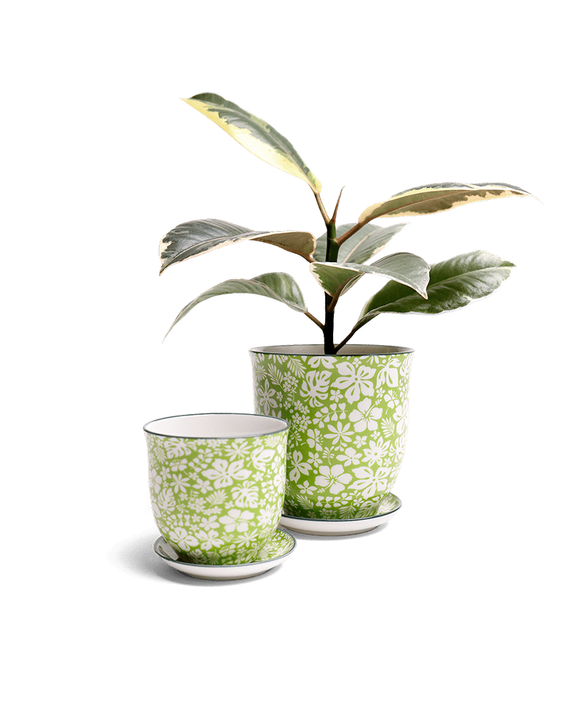 Liberte Porcelain Pot And Saucer Set With Drainage - Chive UK Wholesale