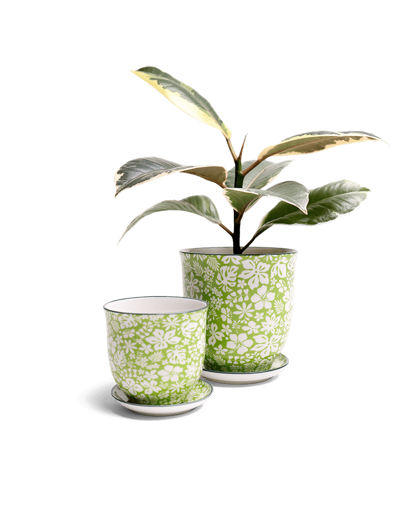 Liberte Porcelain Pot And Saucer Set With Drainage - Chive UK Wholesale