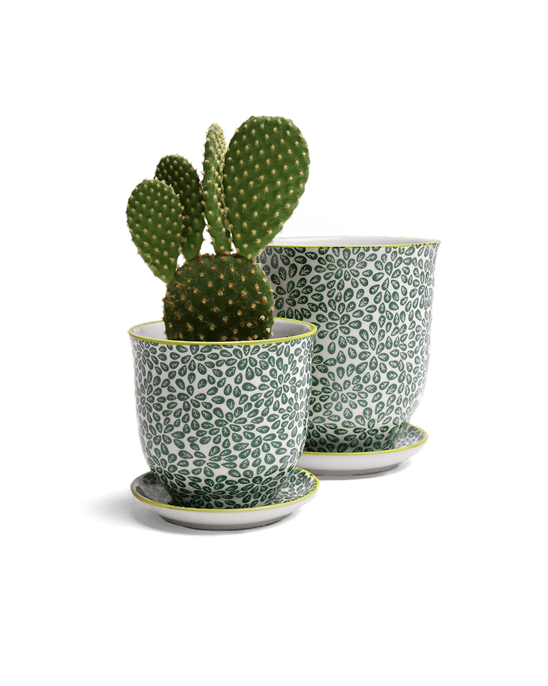 Liberte Porcelain Pot And Saucer Set With Drainage - Chive UK Wholesale