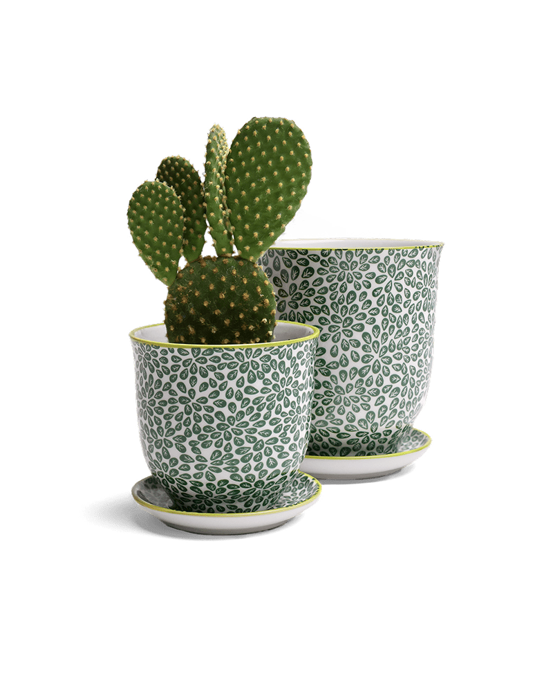 Liberte Porcelain Pot And Saucer Set With Drainage - Chive UK Wholesale