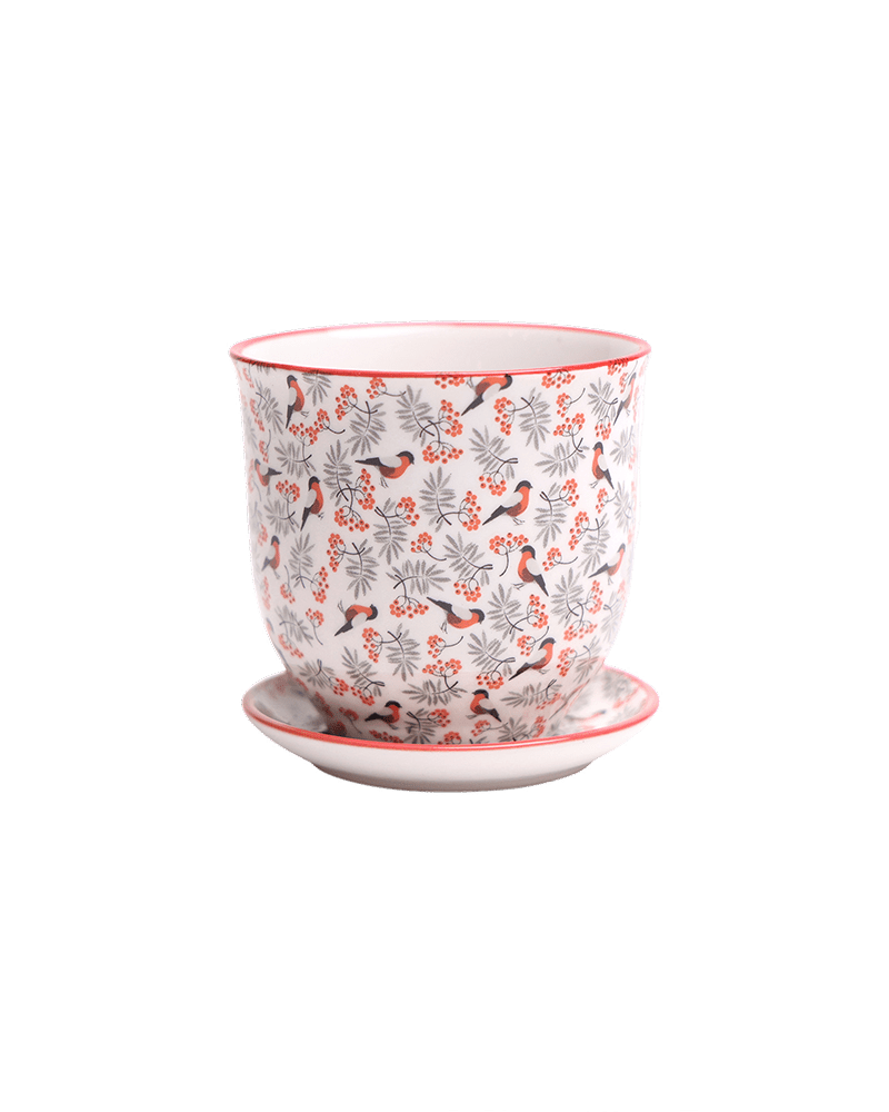 Liberte Porcelain Pot And Saucer Set With Drainage - Chive UK Wholesale