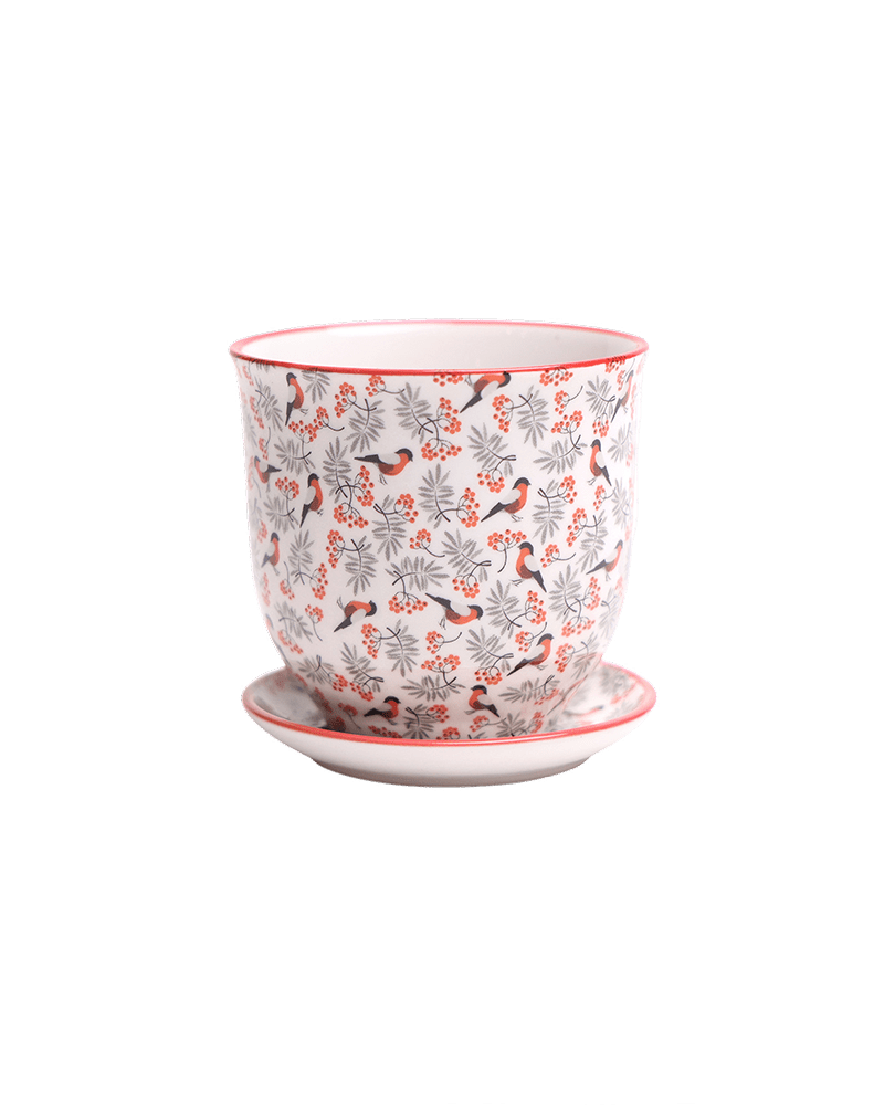 Liberte Porcelain Pot And Saucer Set With Drainage - Chive UK Wholesale