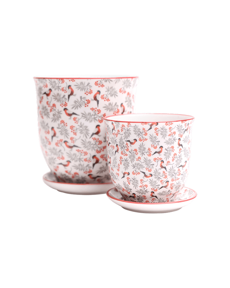Liberte Porcelain Pot And Saucer Set With Drainage - Chive UK Wholesale