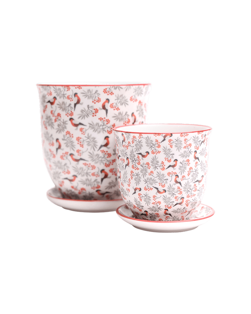 Liberte Porcelain Pot And Saucer Set With Drainage - Chive UK Wholesale