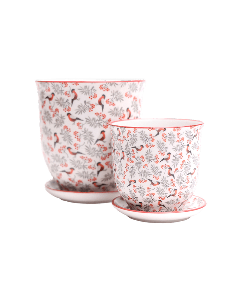 Liberte Porcelain Pot And Saucer Set With Drainage - Chive UK Wholesale