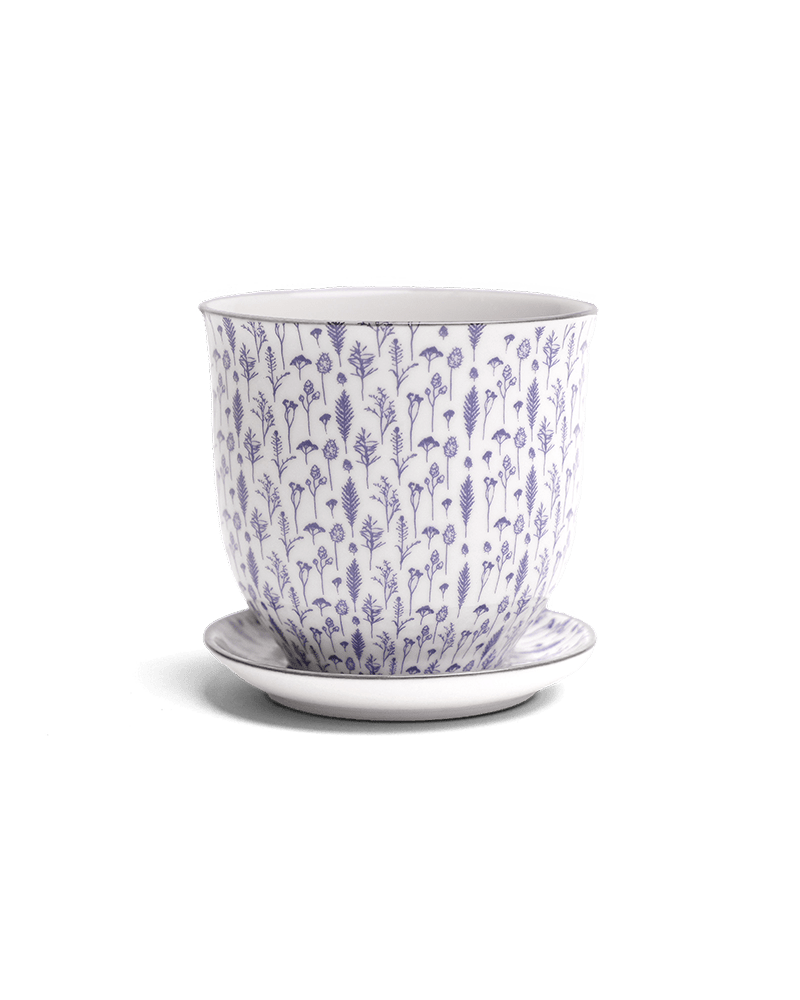 Liberte Porcelain Pot And Saucer Set With Drainage - Chive UK Wholesale