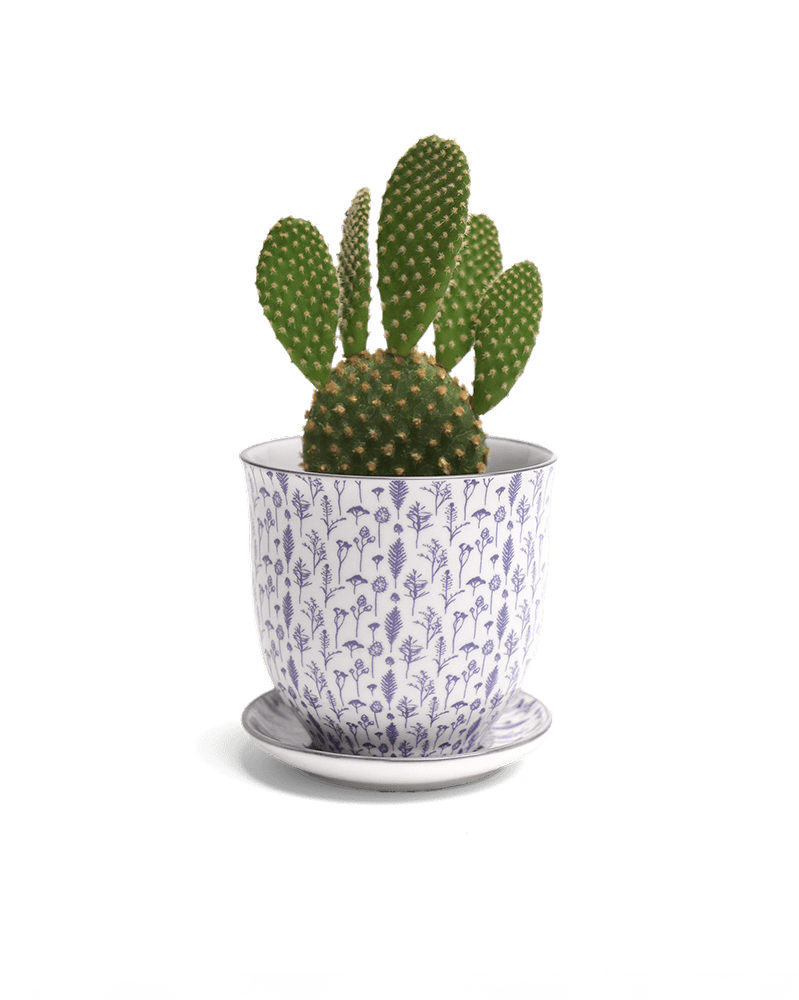 Liberte Porcelain Pot And Saucer Set With Drainage - Chive UK Wholesale