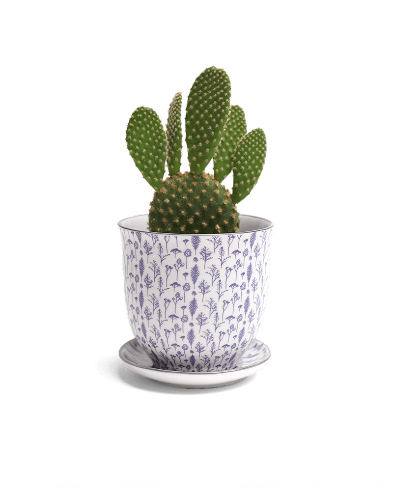 Liberte Porcelain Pot And Saucer Set With Drainage - Chive UK Wholesale