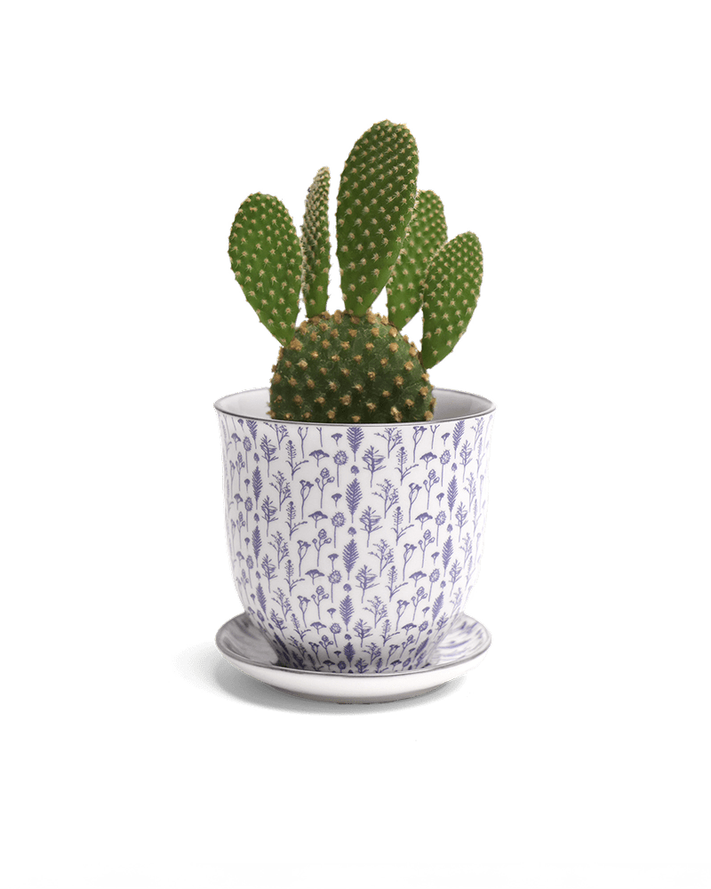 Liberte Porcelain Pot And Saucer Set With Drainage - Chive UK Wholesale