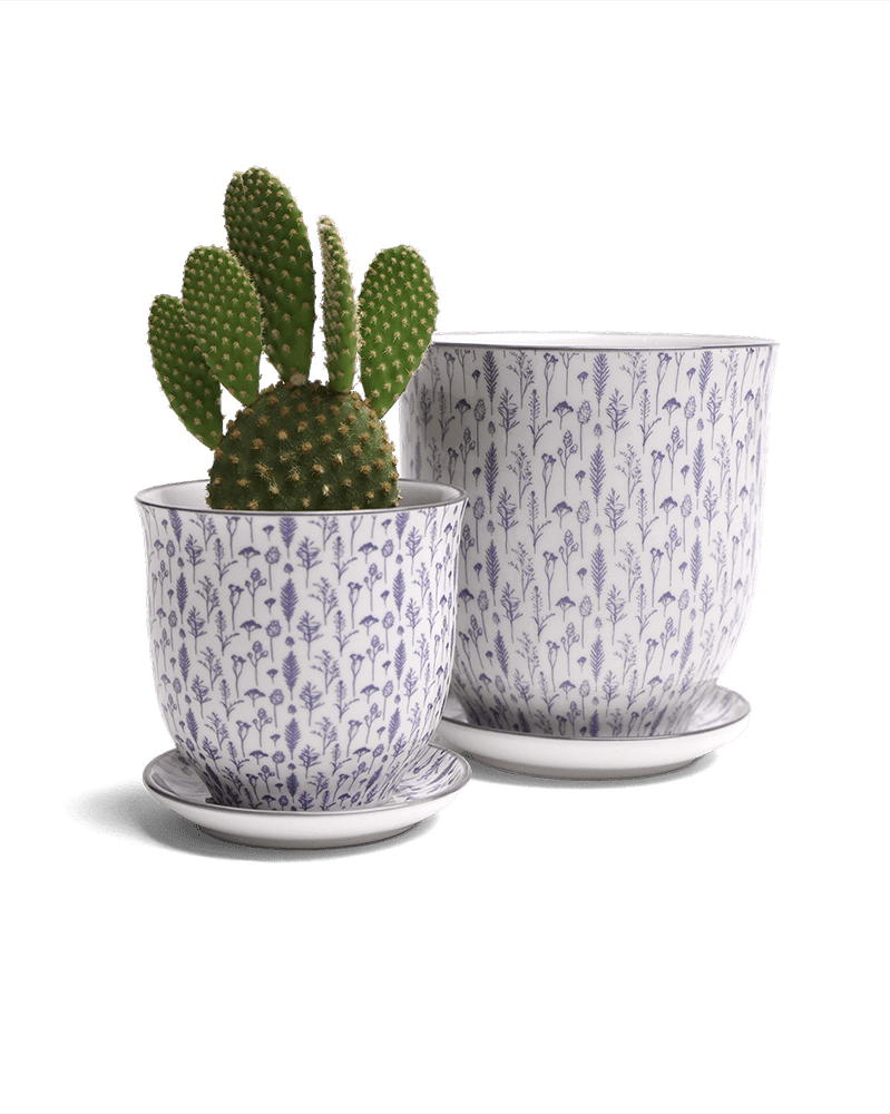 Liberte Porcelain Pot And Saucer Set With Drainage - Chive UK Wholesale
