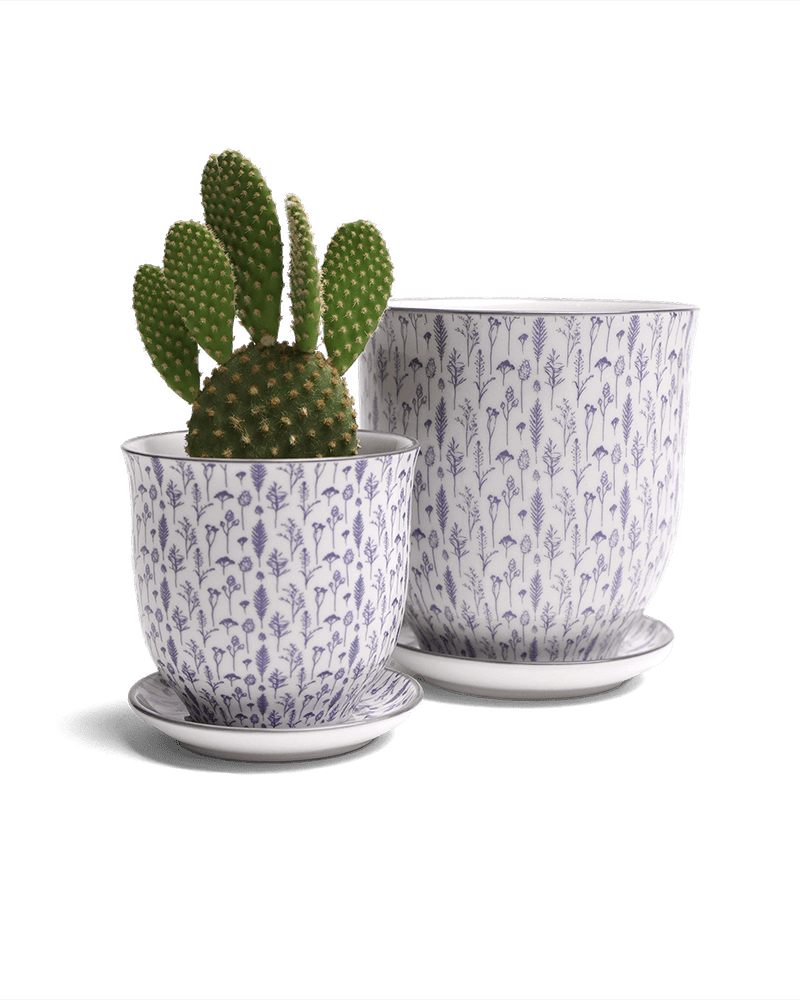 Liberte Porcelain Pot And Saucer Set With Drainage - Chive UK Wholesale