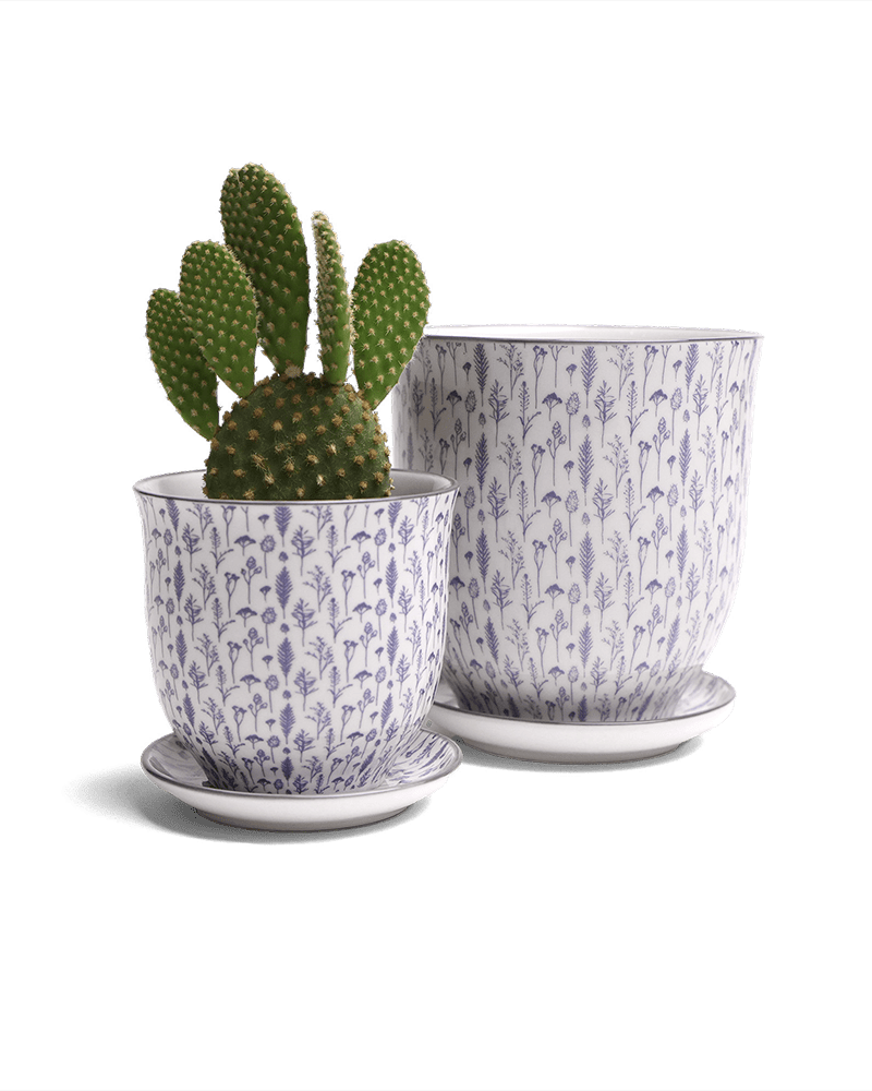 Liberte Porcelain Pot And Saucer Set With Drainage - Chive UK Wholesale
