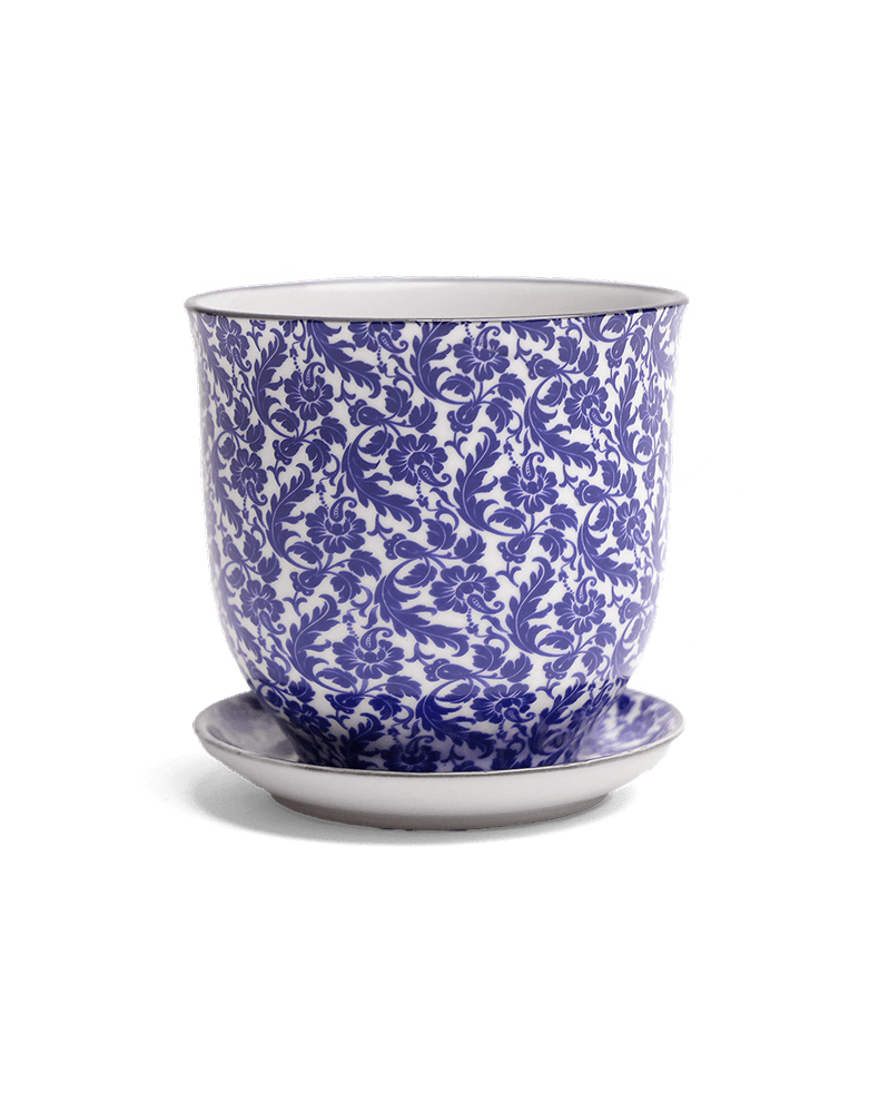Liberte Porcelain Pot And Saucer Set With Drainage - Chive UK Wholesale
